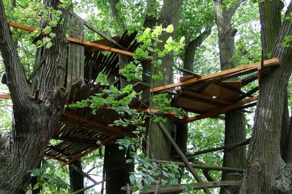 Das inzwischen demontierte Baumhaus in Blumerode