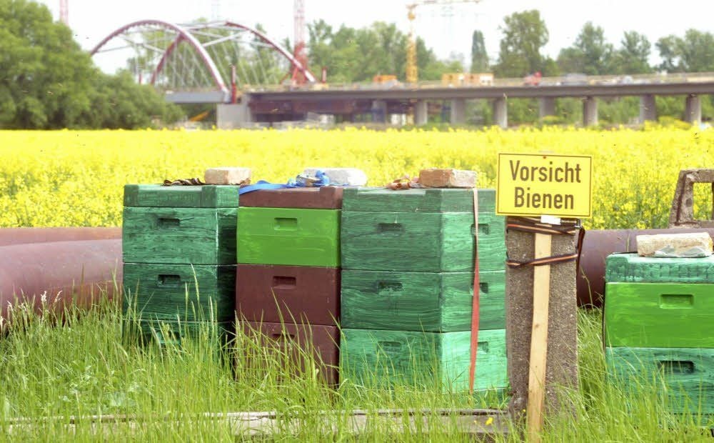 Bienentransport