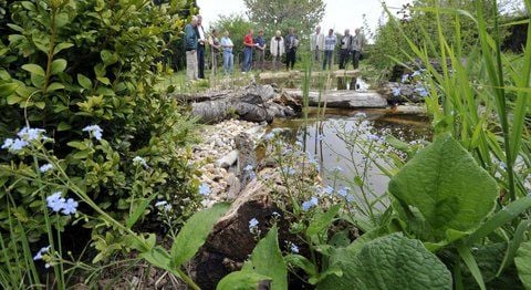 Ein Park im Kleingarten - das kann man in der Anlage in Landsberg Am Wasserwerk sehen. Auch dieses Biotop gehört dazu. (FOTO: THOMAS MEINICKE)