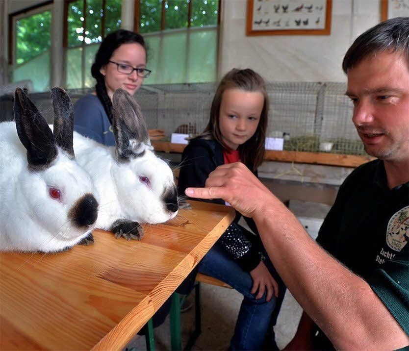 Steffen Amme erklärt Jasmin (l.) und Mariele die unterschiedlichen Ergebnisse bei der Zucht der Kaninchen.