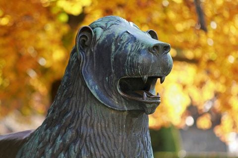 Der Braunschweiger Löwe im Terrassengarten vor dem Kleinen Schloss in Blankenburg (Landkreis Harz). (FOTO: DPA)