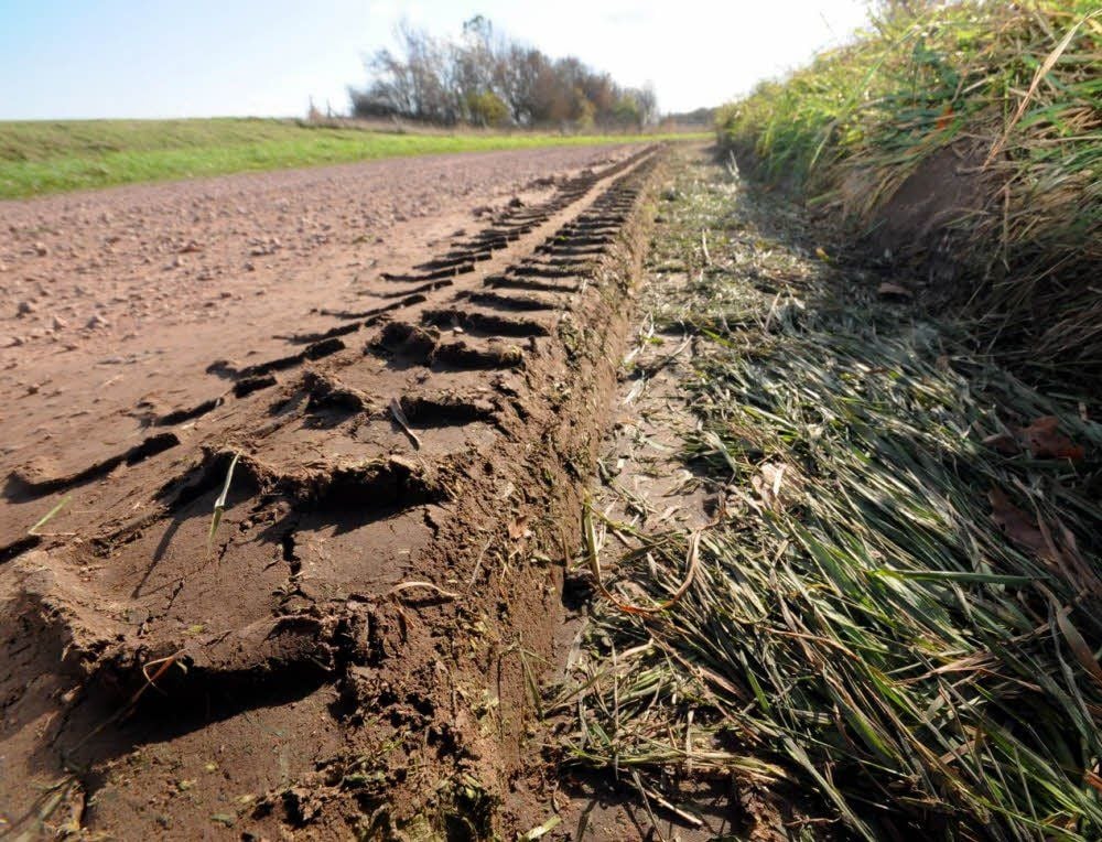 Streit um den Grad der Schäden am Radweg entlang der Fuhne zwischen Roschwitz und Baalberge gibt es zwischen dem Ortschaftsrat und der Agrargenossenschaft Baalberge.