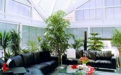 Der wohl temperierte Wintergarten.(Foto: dpa)