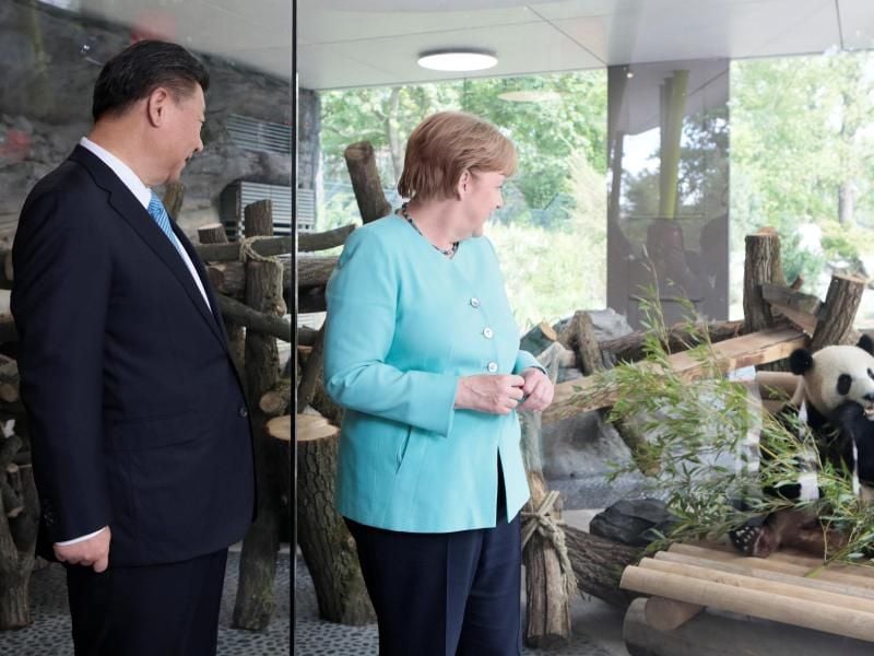 Bundeskanzlerin Angela Merkel und der Staatspräsident von China, Xi Jinping, bei der Eröffnung der neuen Pandabären-Anlage. Foto: