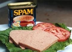 «Spam» war früher nichts anderes als die Abkürzung für «Spiced Ham», gewürzter Dosen-Schinken der billigeren Sorte. Das in kleine Blechdosen gepresste Schweinefleisch «erfand» eine US-Lebensmittelfirma in Minnesota bereits im Jahr 1937. Heute ist der Begriff eher genervten Computer-Nutzern geläufig zur Bezeichnung der Flut unerwünschter E-Mails in ihrem Postfach. (Archivfoto: dpa)
