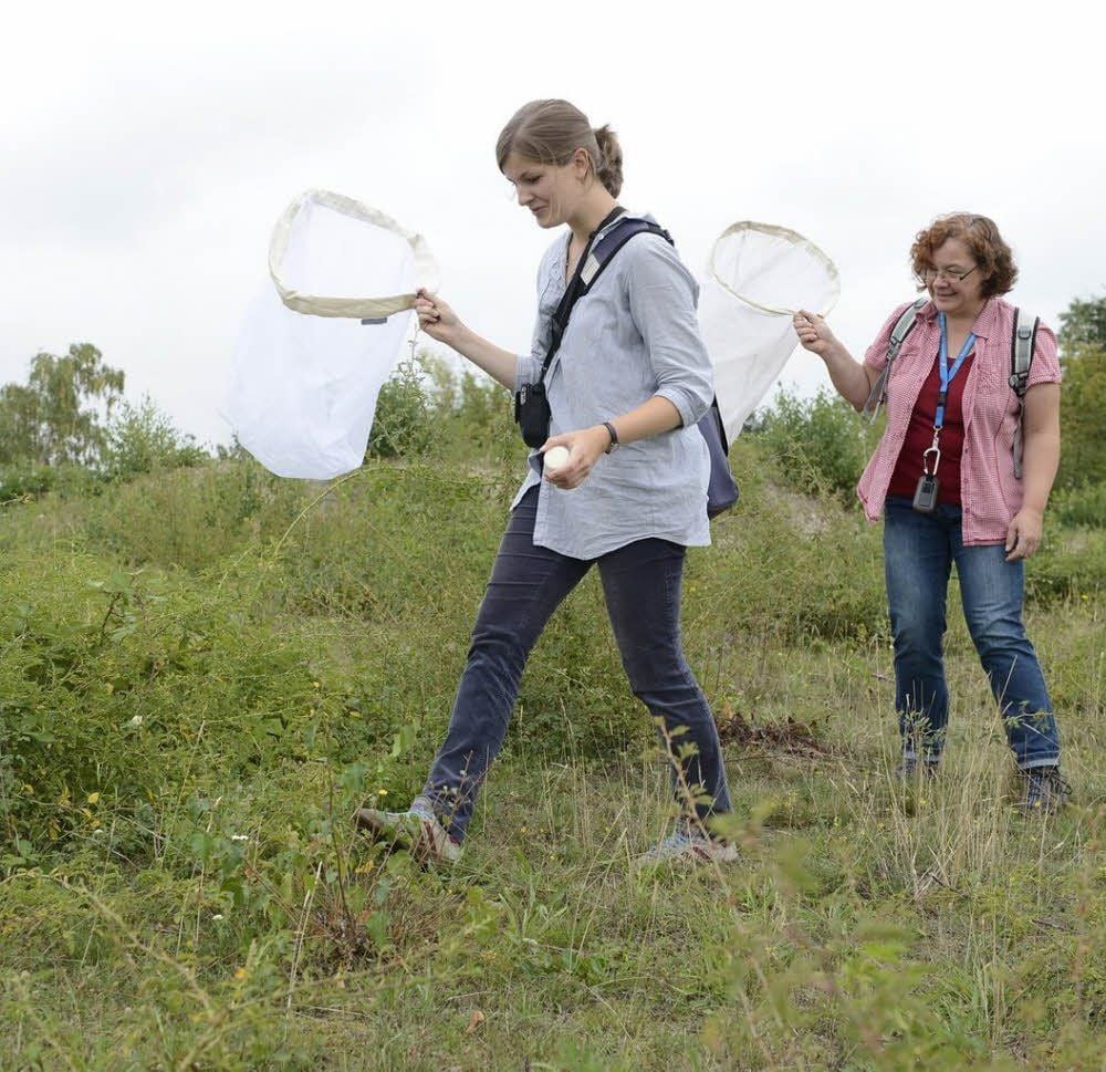 Praktikantin Mirjam Seeliger (links) ist mit Projektleiterin Elisabeth Kühn an den halleschen Brandbergen unterwegs, um die Anzahl und Artenvielfalt von Tagfaltern zu untersuchen.