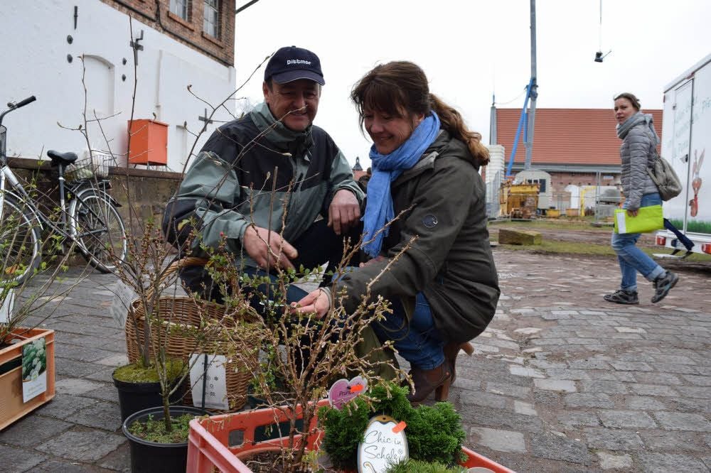 Angela und Steffen Else waren extra aus Steinthaleben zum Markt angereist.