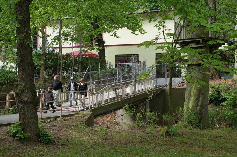 Auf der Hubertusinsel sind Bäume gefällt worden.