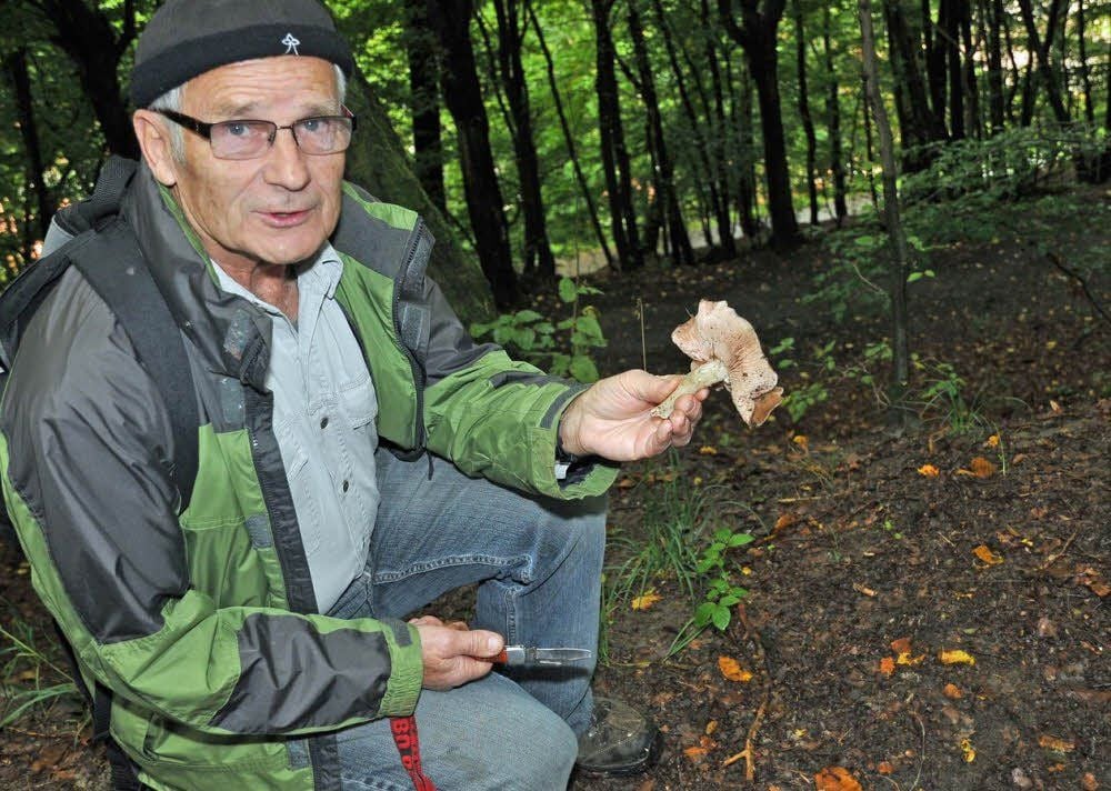 Jürgen Peitzsch ist seit über 40 Jahren Pilzberater. Sein Wissen gibt er bei Wanderungen gern weiter.