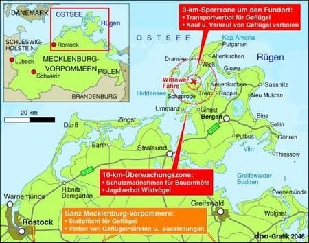 Infokarte zu den Vogelgrippe-Fällen auf der Insel Rügen (Grafik: dpa)
