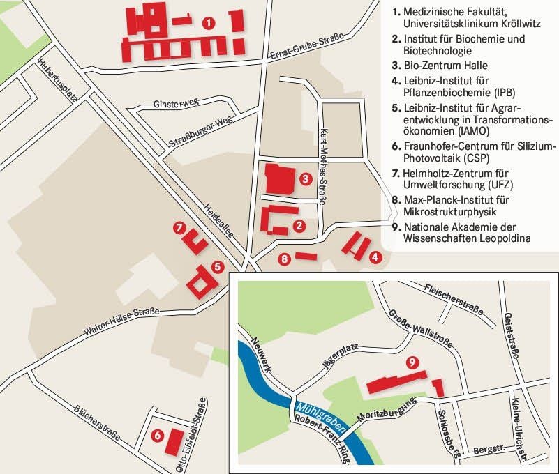Die MZ stellt ausgewählte Angebote der Einrichtungen auf dem Weinberg- bzw. Heide-Campus und an der Leopoldina vor.