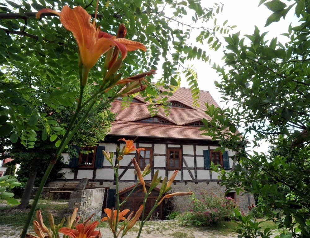 Die Alte Mühle in Zappendorf
