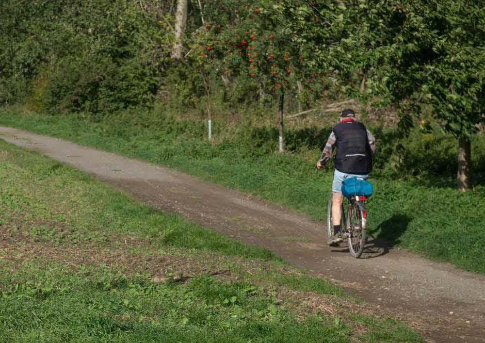 In und um Quedlinburg gibt es nur relativ wenige Radwege. Dennoch haben die Wege, die durch eine wunderbare Landschaft führen, Potenzial.