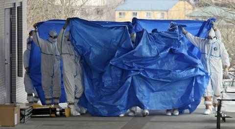 Geschützt durch Schutzanzüge und Planen begleiten japanische Sicherheitskräfte die kontaminierten Arbeiter des AKW Fukushima ins Krankenhaus. (FOTO: DPA)