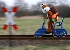 Schnell strampelt der Osterhase auf einer Draisine der Erlebnisbahn im brandenburgischen Mellensee nahe Zossen, um noch pünktlich zum Fest überall Eier für die Kinder verstecken zu können, aufgenommen am 10.04.2006. (Foto: dpa)