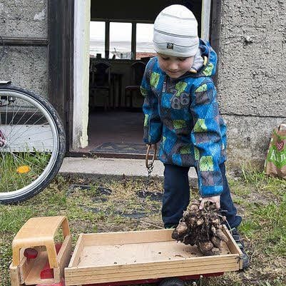 Nils mit der Dahlienknolle