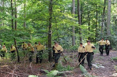 Polizisten der Bereitschaftspolizei durchsuchen den Wald auf dem Petrisberg in Trier (Rheinland-Pfalz) nach dem Anglistik-Studenten Maxim Beck. (FOTO: DPA)