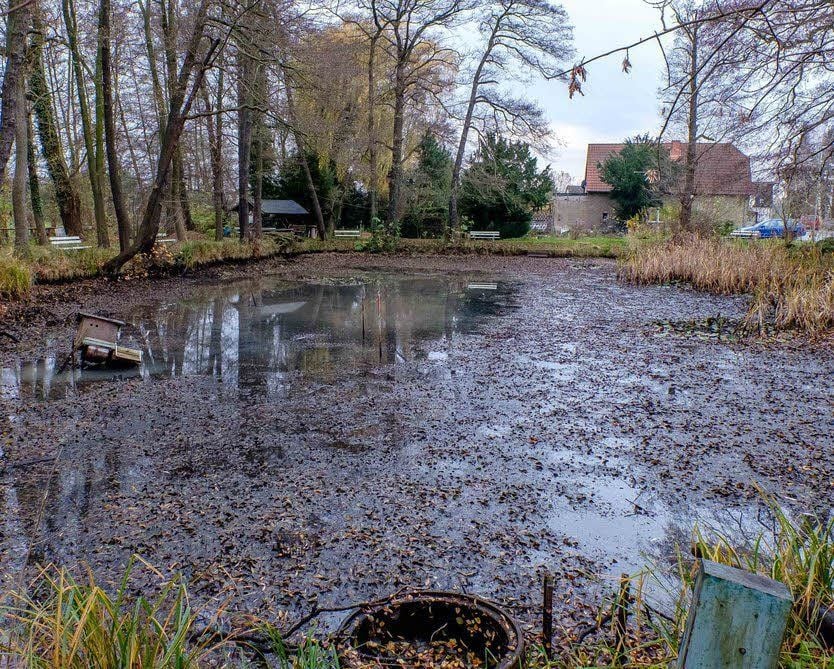 Nur noch wenig Wasser ist im Dorfteich.