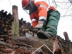 Ein Waldarbeiter zerkleinert in Schutzausrüstung am Donnerstag (14.12.2006) in Arnsberg mit einer Motorsäge Holzscheite. (Foto: dpa)