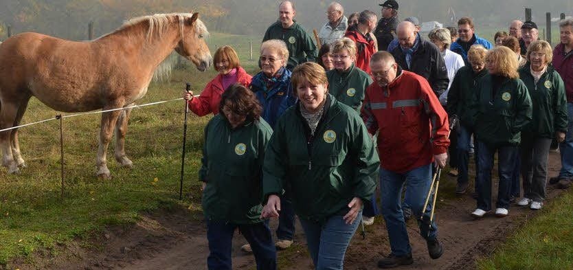 Der Weg führt durch die Holzmarken und den Saugrund.