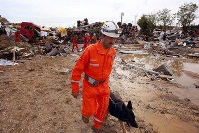 Nach den Überschwemmungen im Nordwesten der Türkei, arbeiten Mitglieder eines Rettungsteams an einem LKW-Parkplatz. Hier wurden acht Fahrer tot gefunden. (FOTO: DPA)
