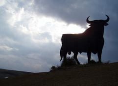 Ein Osborne-Stier, das Markenzeichen von Andalusien und ganz Spanien, steht auf einem Hügel bei Jerez de la Frontera. (Foto: dpa)