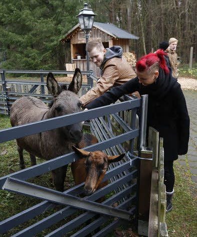 Besucher gehen auf Tuchfühlung im Streichelgehege.