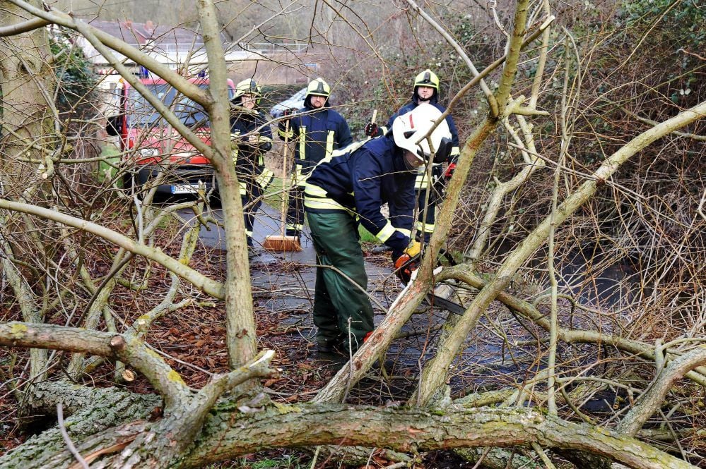 In Wetterzeube musste die Feuerwehr mehrere umgestürzte Bäume beseitigen, die Straßen und den Radweg blockierten.