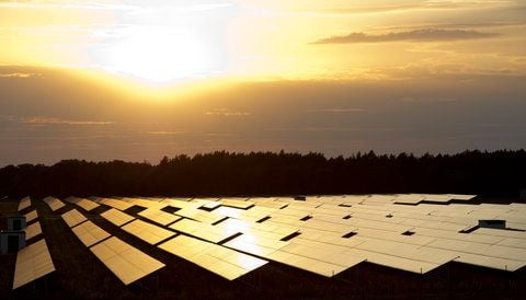 Der Solarpark Zerbst auf dem Gelände des einstigen Militärflughafen der Sowjetarmee in Zerbst. Das alte Militärgelände soll sich weiter wandeln. (FOTO: DAPD)