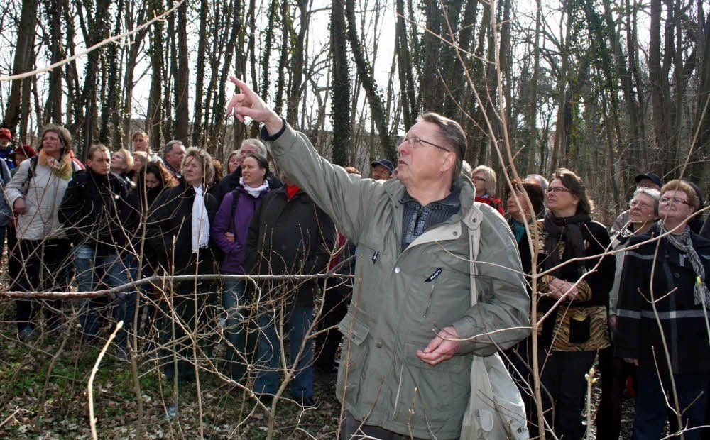 Siegfried Walter zeigt den zahlreichen Mitwanderern Interessantes im Krumbholz.