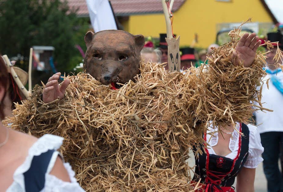 Dem Radislebener Erbsenbär wird ordentlich warm gewesen sein in seinem Kostüm aus einer dicken Schicht Erbsenstroh.