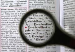 Im Streit um die Rücknahme der Rechtschreib- Reform ist kein Ende in Sicht. (Foto: dpa)