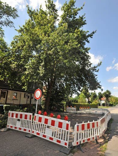 Der Bereich rund um den beschädigten Baum in der Stefan-Simon-Straße ist abgesperrt.