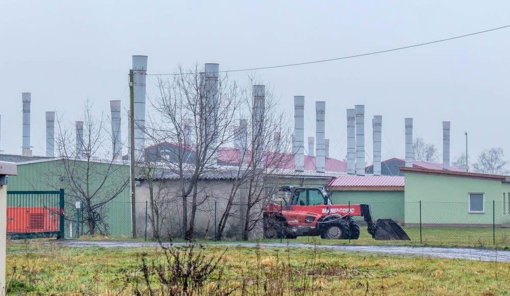 Betreiber Leon von Dijck will seine Schweinemastanlage auf knapp 28.000 Tierplätze erweitern.