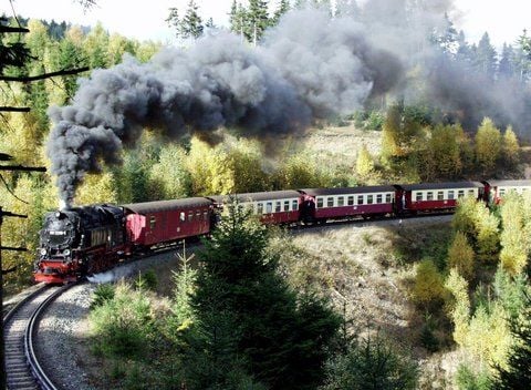 Dampfend schnauft die Brockenbahn vorbei durch die Landschaft zwischen Wernigerode und Drei Annen-Hohne hinauf zum Brocken. (ARCHIVFOTO: DPA)