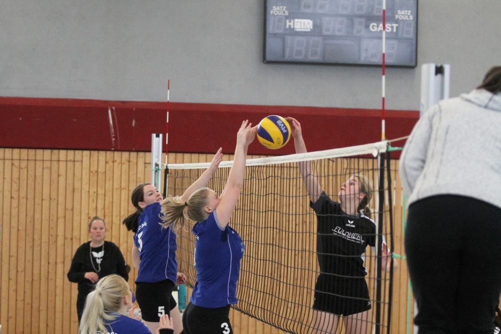 Volleyball: Im Spiel gegen Zeitz bot der VC (blau) eine klasse Leistung.