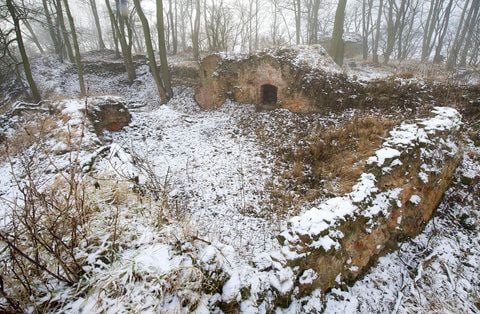 Von der vermutlich bis etwa 1300 bewohnten Burg Anhalt blieben nur Mauerreste. Sie befindet sich auf dem Großen Hausberg zwischen Mägdesprung und Meisdorf (Landkreis Harz). (FOTO: CHRIS WOHLFELD)