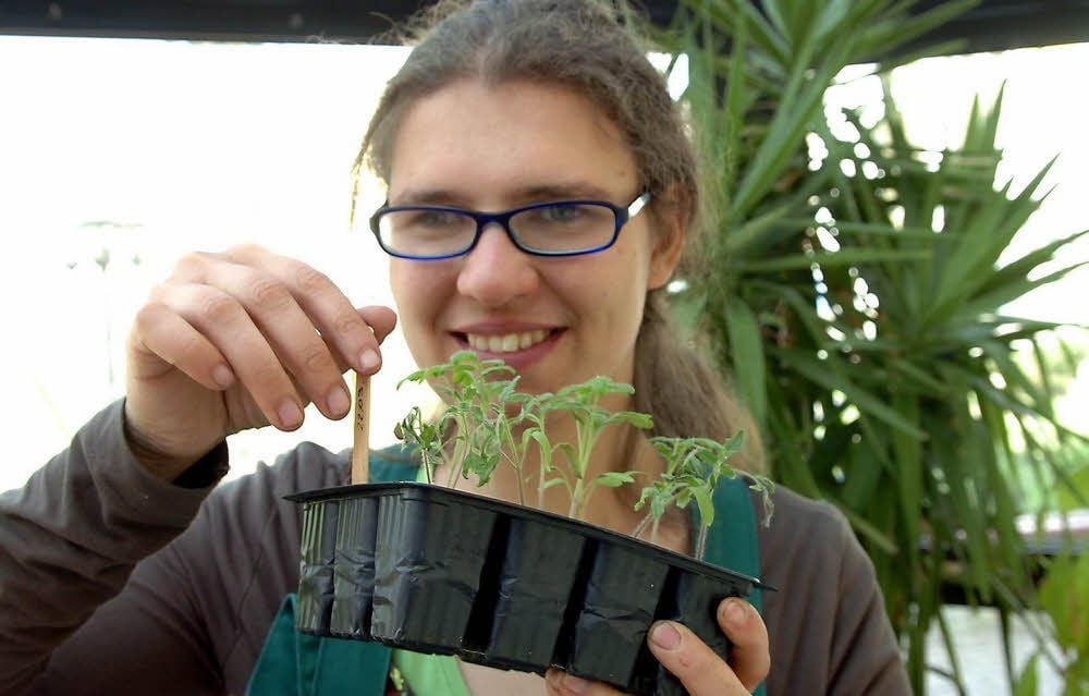 Kristin Schierig freut sich über selbst gezogene Tomatenpflanzen, die in einen brachliegenden Garten ausgebracht werden sollen.