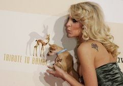 Linda Anbar und ihr Hund Phönix gehen über den Roten Teppich der «Tribute to Bambi» - Gala in Düsseldorf. (Foto: dpa)