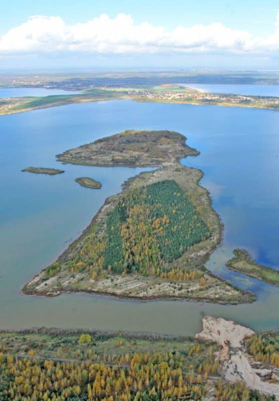 Das Naturschutzgebiet Bäreninsel in der Goitzsche.