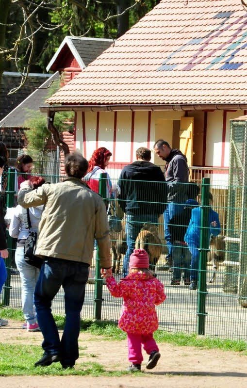 Ausflugsziel für Groß und Klein ist der Martzschpark.