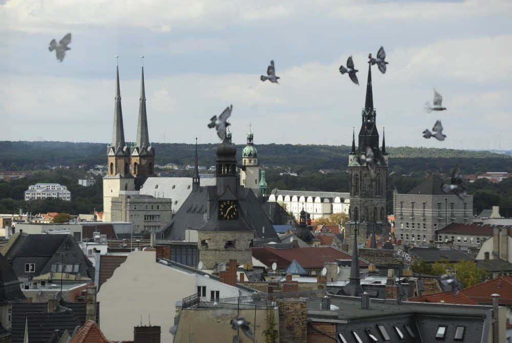 Blick auf die Altstadt in Halle.
