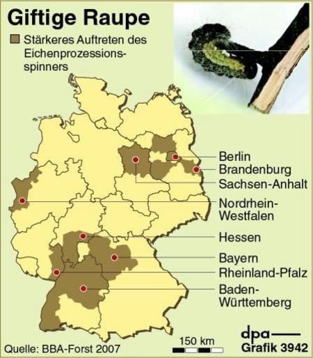 Verbreitung des Eichenprozessionsspinners (Grafik: dpa)