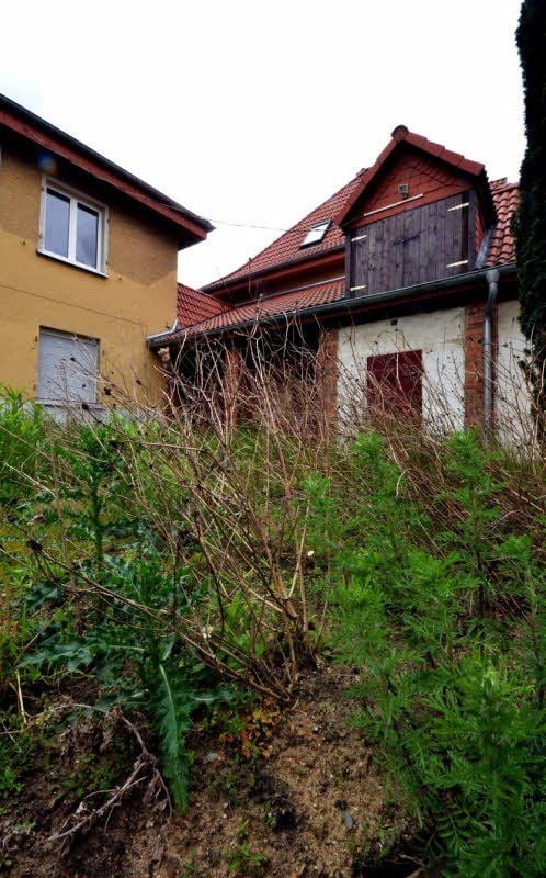 Am leerstehenden Haus 7 macht sich das Unkraut breit.