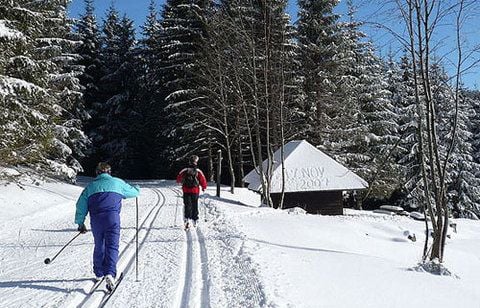 Egal ob in den Alpen oder in den Mittelgebirgen: Die deutschen Langlaufgebiete sind traumhaft. (FOTO: NEPTUNA/WIKIMEDIA)
