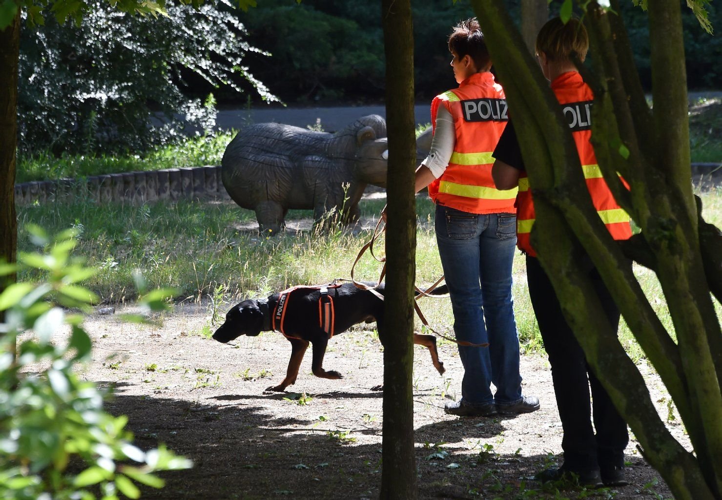 Dieser Spürhund half im Juli bei der Suche nach Elias.