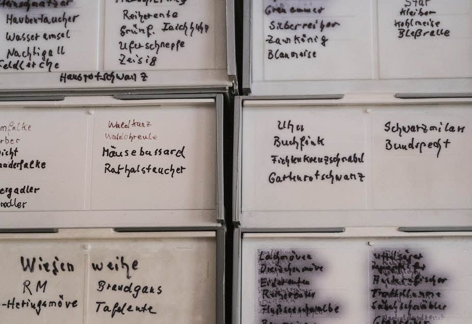 Wolfgang Hohlfeld hat im Laufe der Jahre Tausende Dias angefertigt, beschriftet und archiviert. Ein wertvoller Schatz, nicht nur für Ornithologen.