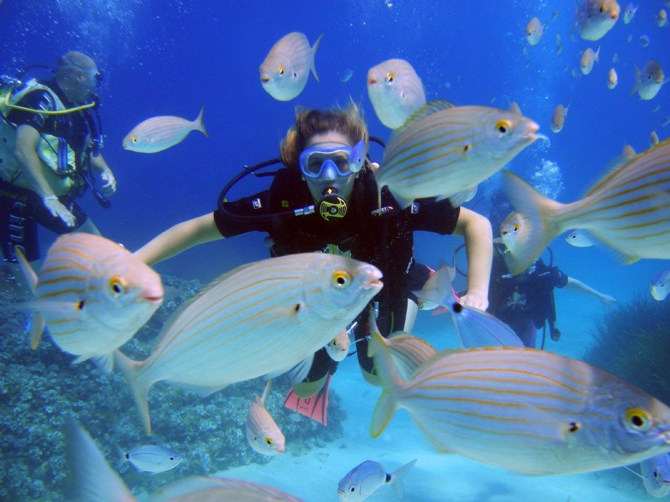 Paradies für Taucher: Mallorca lockt mit riesigen Fischschwärmen.