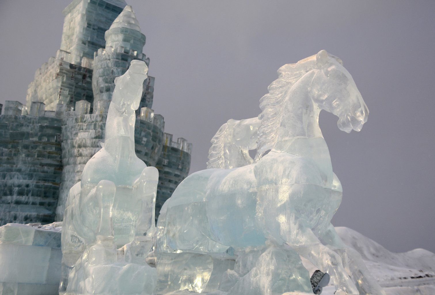 Die Pferde aus Eis machen sich gut in der winterlichen Kälte Nordchinas. Doch der schneidende Wind trägt Tag um Tag mehr Details der Eisskulpturen ab - vergängliche Kunst.