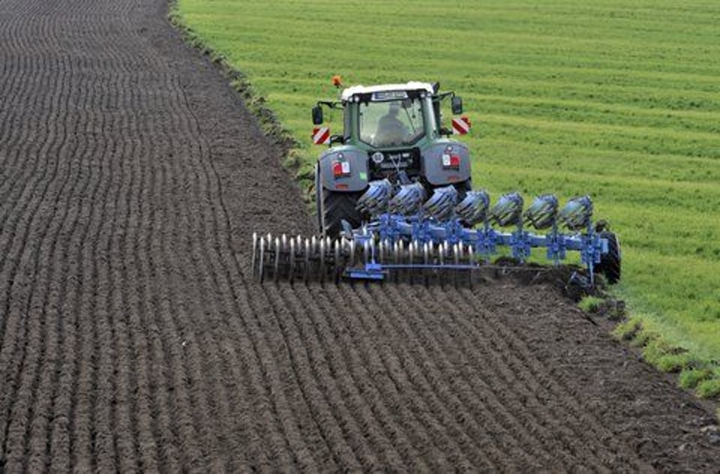 In Sachsen-Anhalt ist der Hektarpreis von landwirtschaftlichen Pachtflächen zwischen 2010 und 2020 um mehr als 55 Prozent gestiegen.